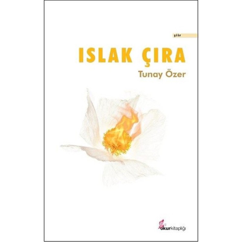 Islak Çıra Islak Çıra