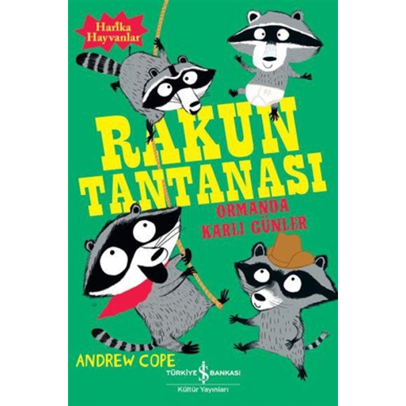 Rakun Tantanası - Ormanda Karlı Günler Rakun Tantanası - Ormanda Karlı Günler