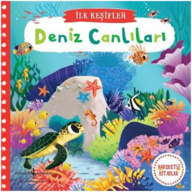 Deniz Canlıları (Ciltli) Deniz Canlıları (Ciltli)