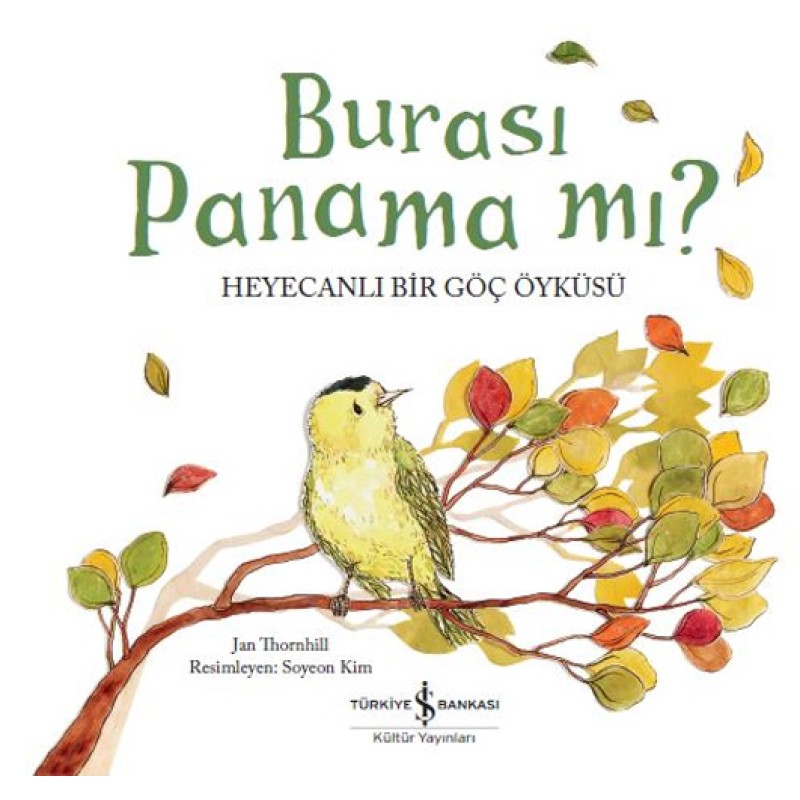 Burası Panama mı? Burası Panama mı?