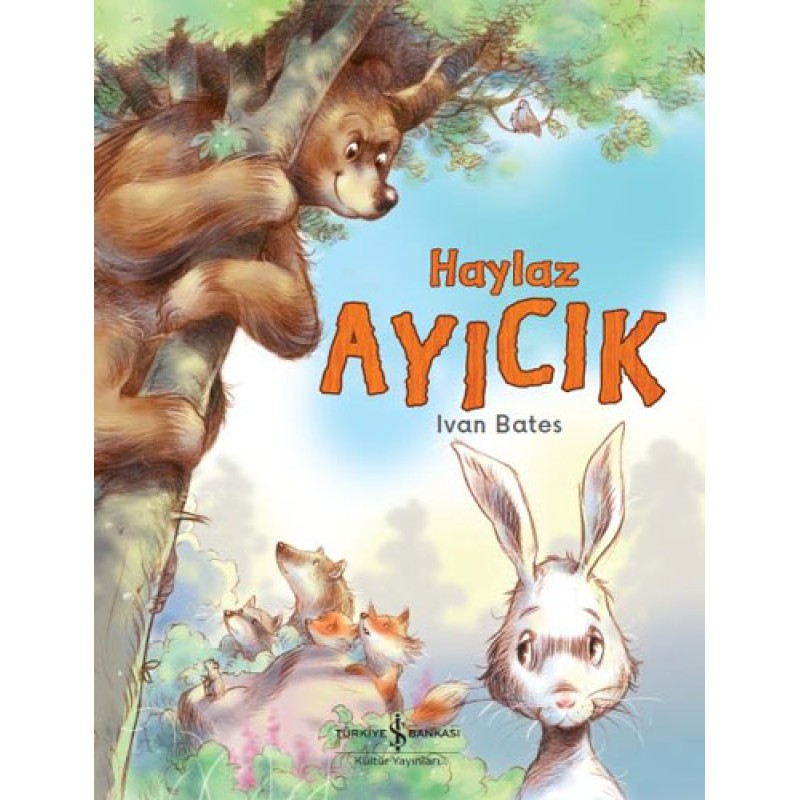 Haylaz Ayıcık Haylaz Ayıcık