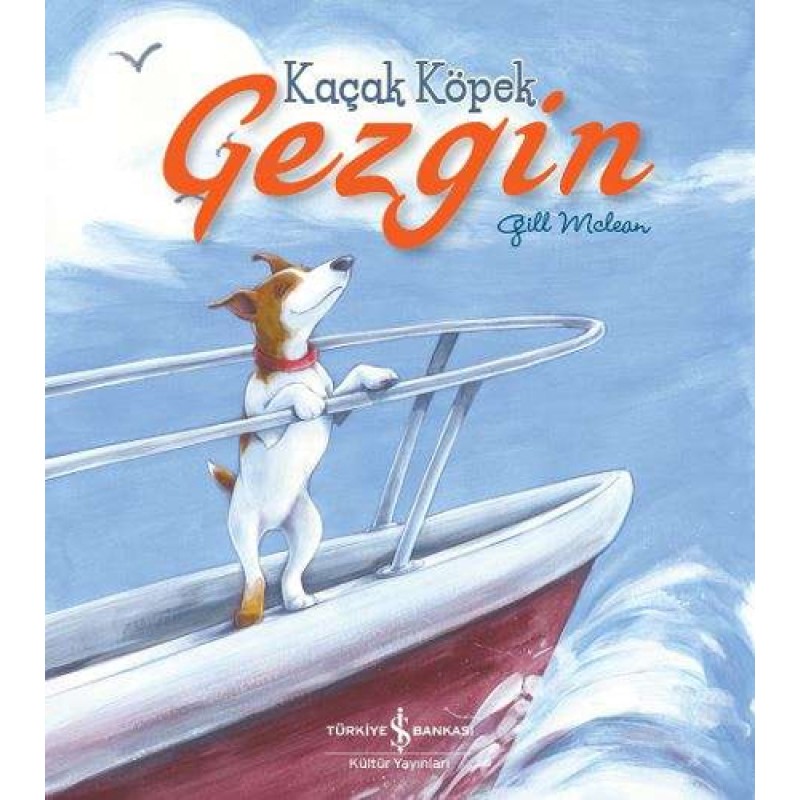 Kaçak Köpek Gezgin Kaçak Köpek Gezgin