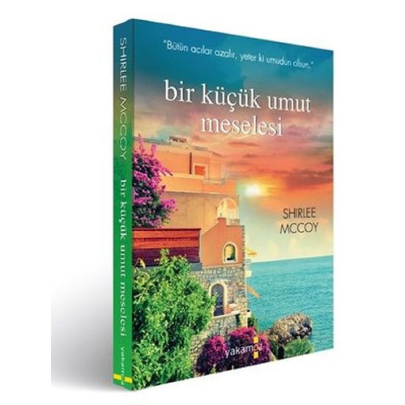 Bir Küçük Umut Meselesi