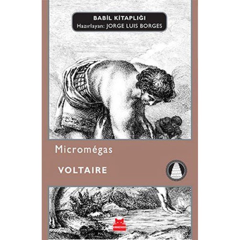 Micromegas Micromegas