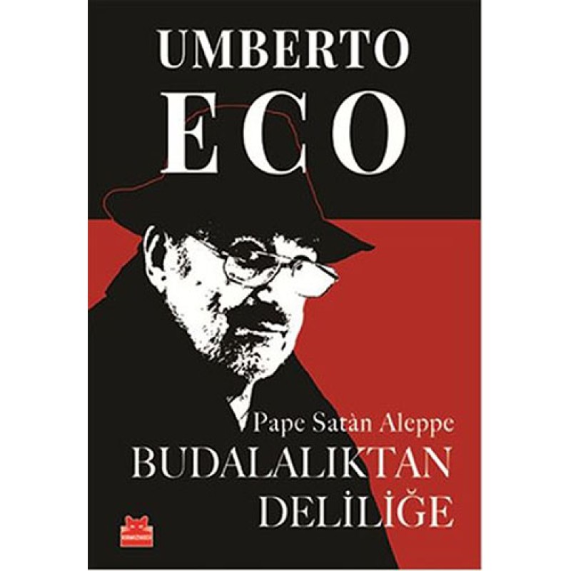 Budalalıktan Deliliğe Budalalıktan Deliliğe