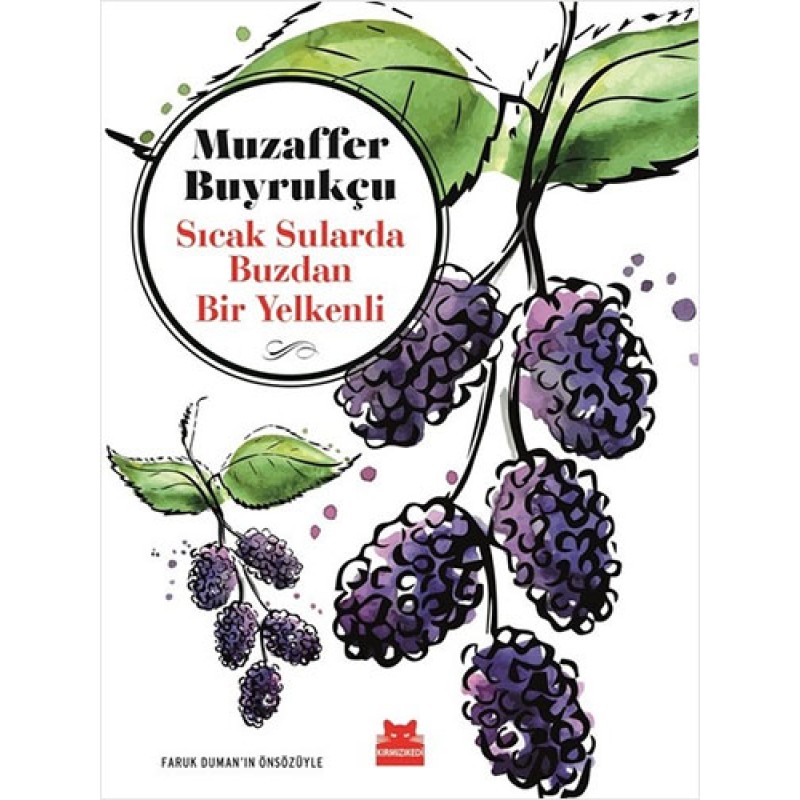 Sıcak Sularda Buzdan Bir Yelkenli Sıcak Sularda Buzdan Bir Yelkenli