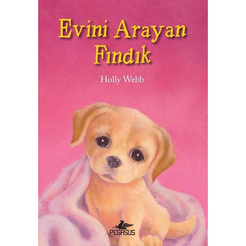 Evini Arayan Fındık Evini Arayan Fındık