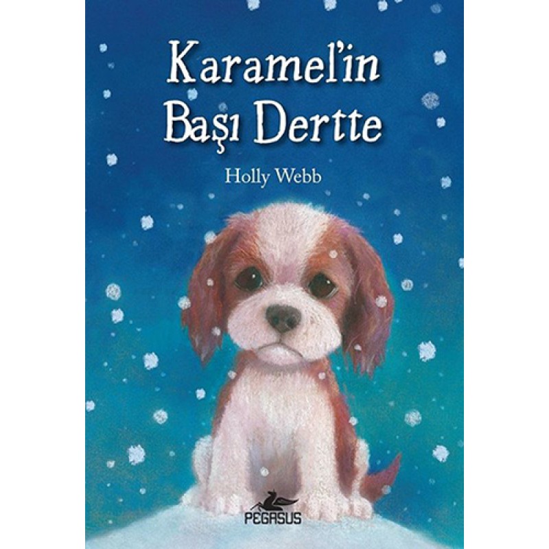 Karamel'in Başı Dertte Karamel'in Başı Dertte