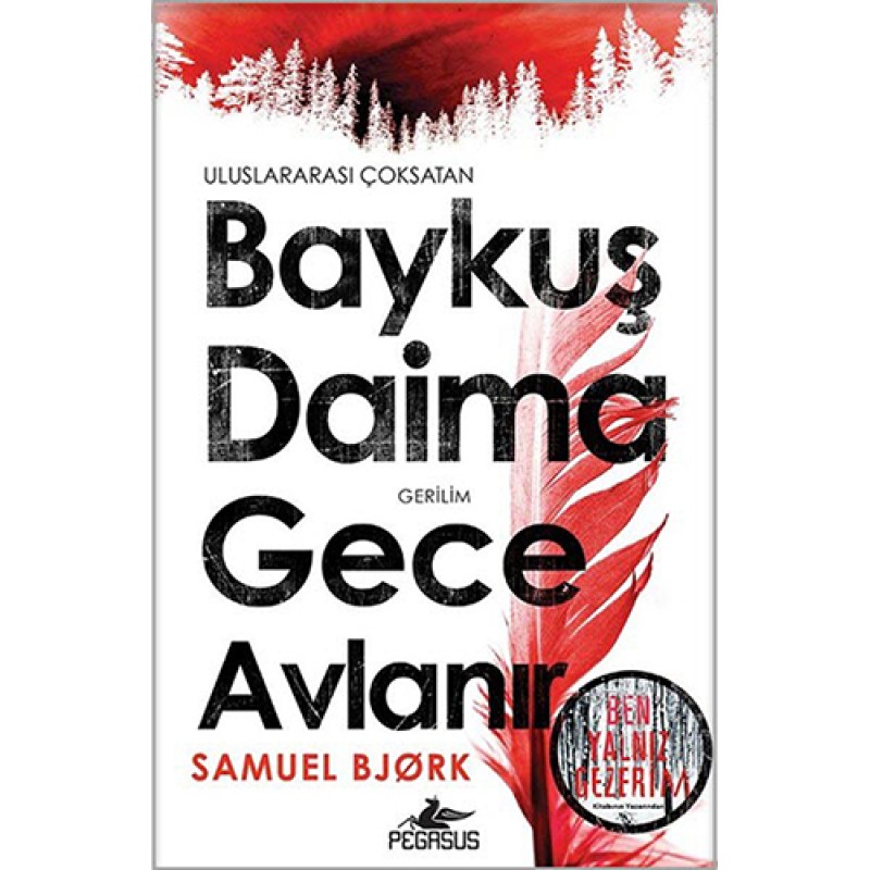 Baykuş Daima Gece Avlanır Baykuş Daima Gece Avlanır