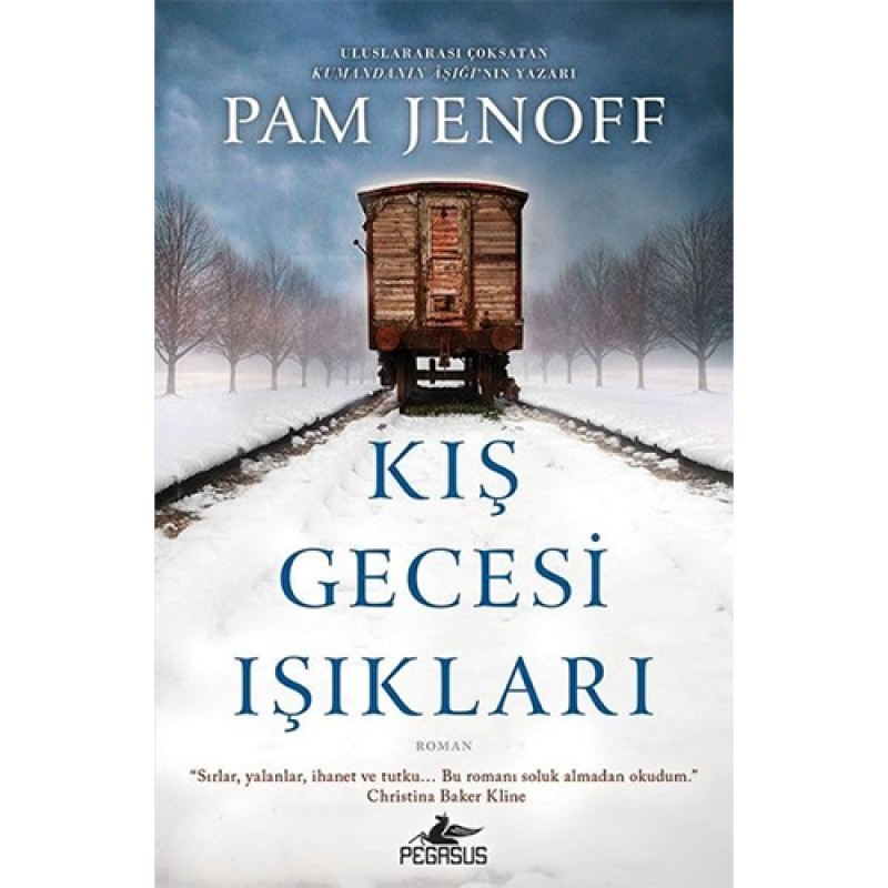 Kış Gecesi Işıkları Kış Gecesi Işıkları