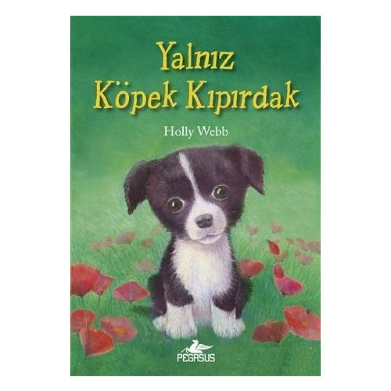 Yalnız Köpek Kıpırdak Yalnız Köpek Kıpırdak