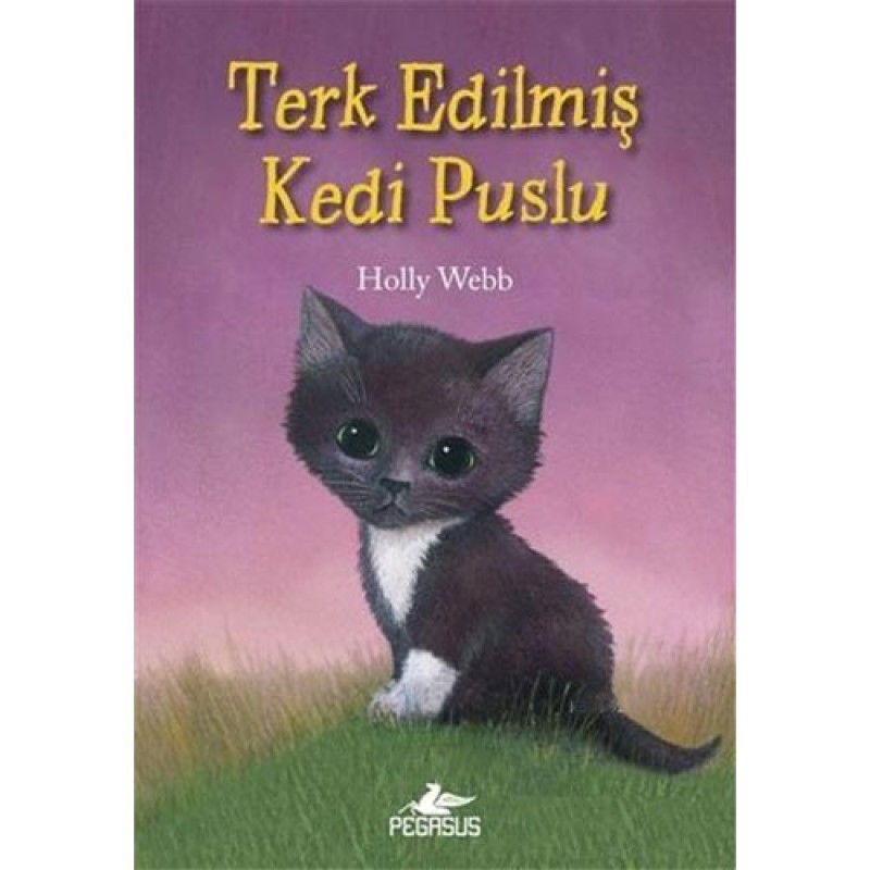 Terk Edilmiş Kedi Puslu Terk Edilmiş Kedi Puslu