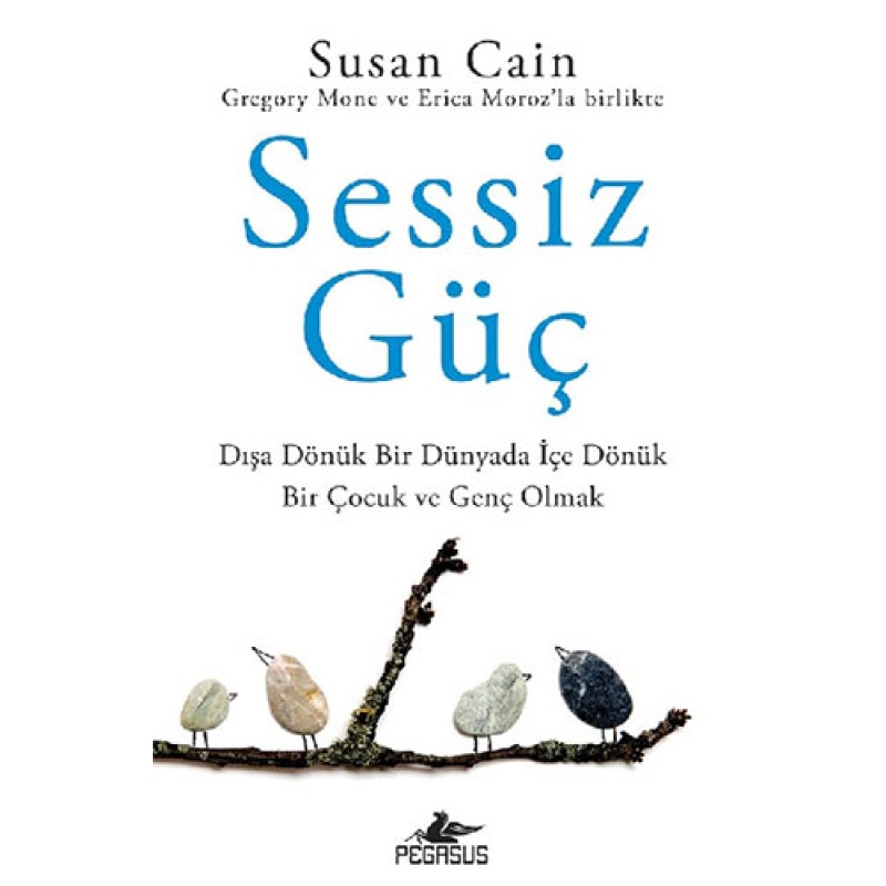 Sessiz Güç
