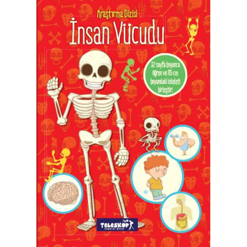 Araştırma Dizisi: İnsan Vücudu Araştırma Dizisi: İnsan Vücudu