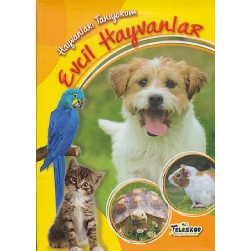 Hayvanları Tanıyorum - Evcil Hayvanlar Hayvanları Tanıyorum - Evcil Hayvanlar
