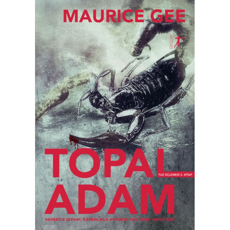 Topal Adam Topal Adam