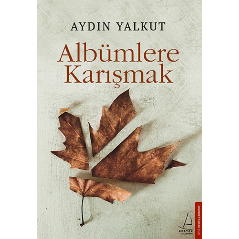 Albümlere Karışmak Albümlere Karışmak