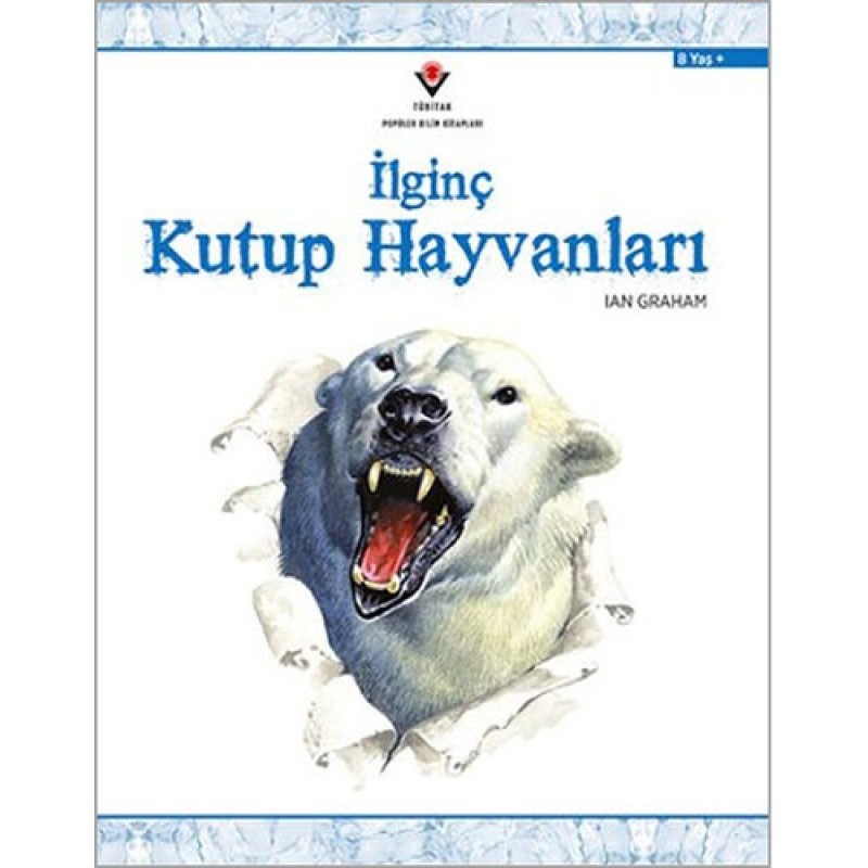 İlginç Kutup Hayvanları İlginç Kutup Hayvanları