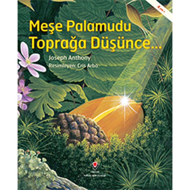 Meşe Palamudu Toprağa Düşünce... Meşe Palamudu Toprağa Düşünce...