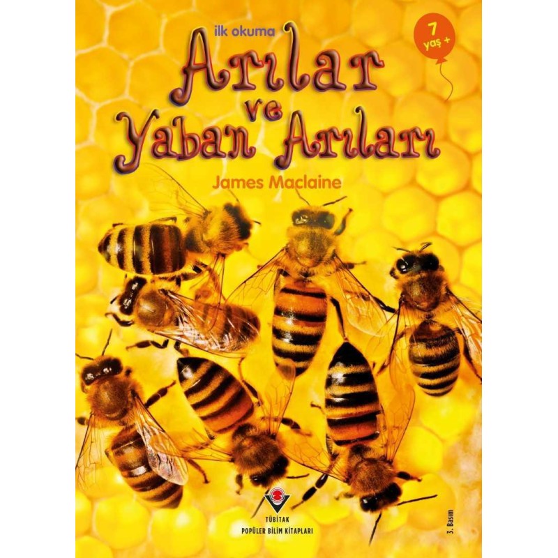 İlk Okuma - Arılar ve Yaban Arıları İlk Okuma - Arılar ve Yaban Arıları