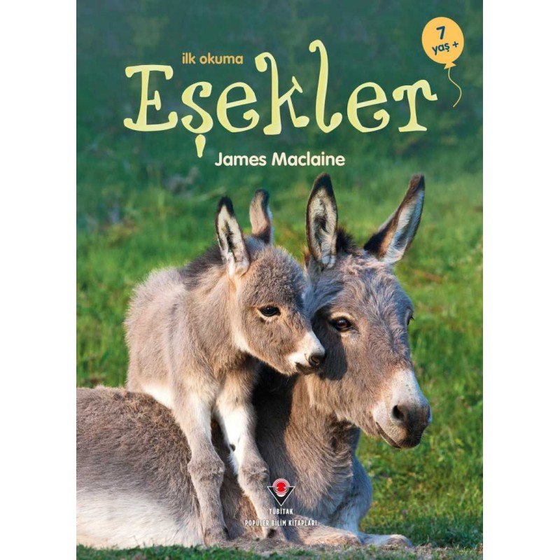 İlk Okuma - Eşekler İlk Okuma - Eşekler