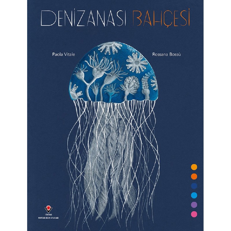 Denizanası Bahçesi Denizanası Bahçesi