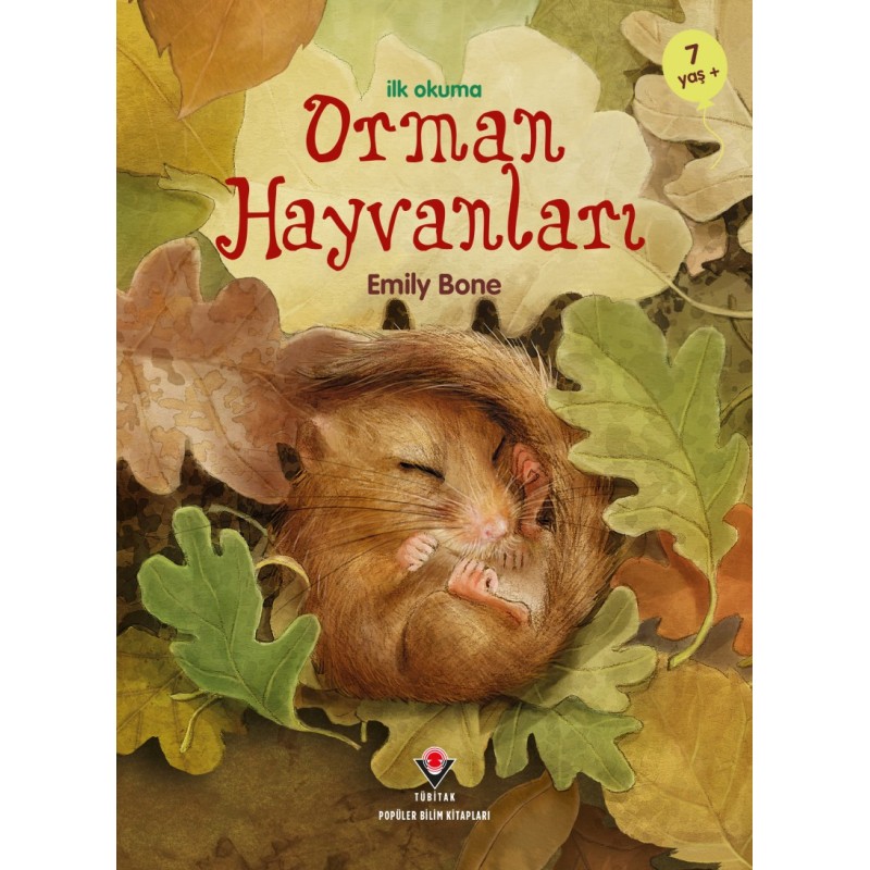 İlk Okuma - Orman Hayvanları İlk Okuma - Orman Hayvanları