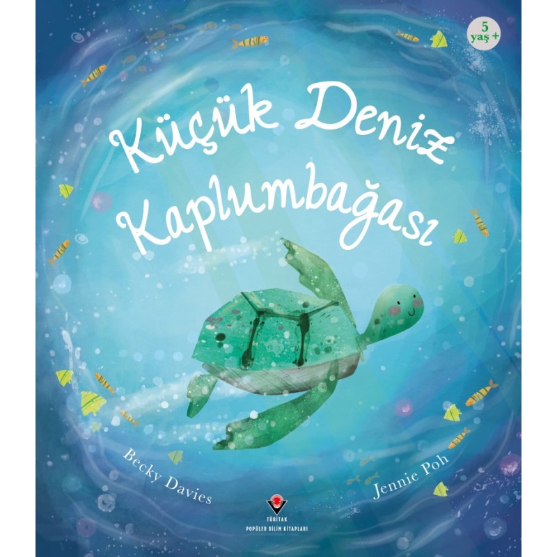 Küçük Deniz Kaplumbağası Küçük Deniz Kaplumbağası