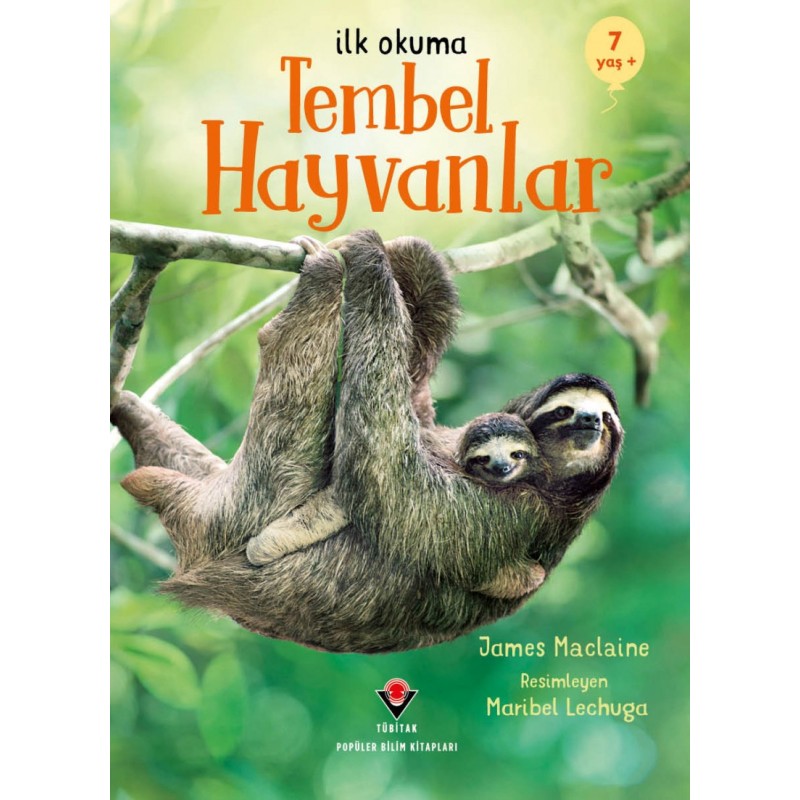 Tembel Hayvanlar Tembel Hayvanlar