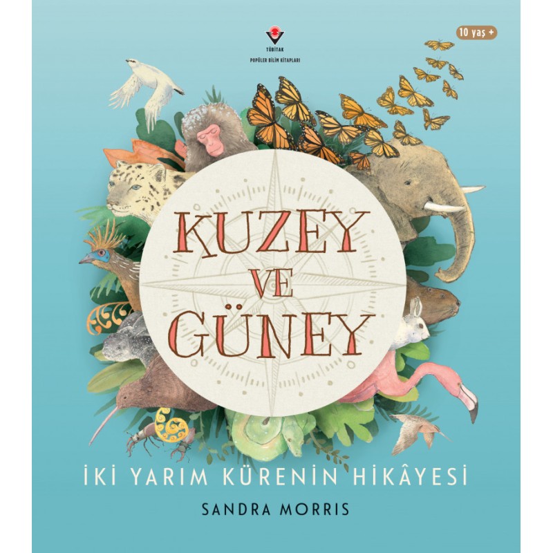 Kuzey ve Güney - İki Yarım Kürenin Hikâyesi Kuzey ve Güney - İki Yarım Kürenin Hikâyesi