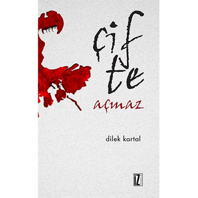 Çifte Açmaz