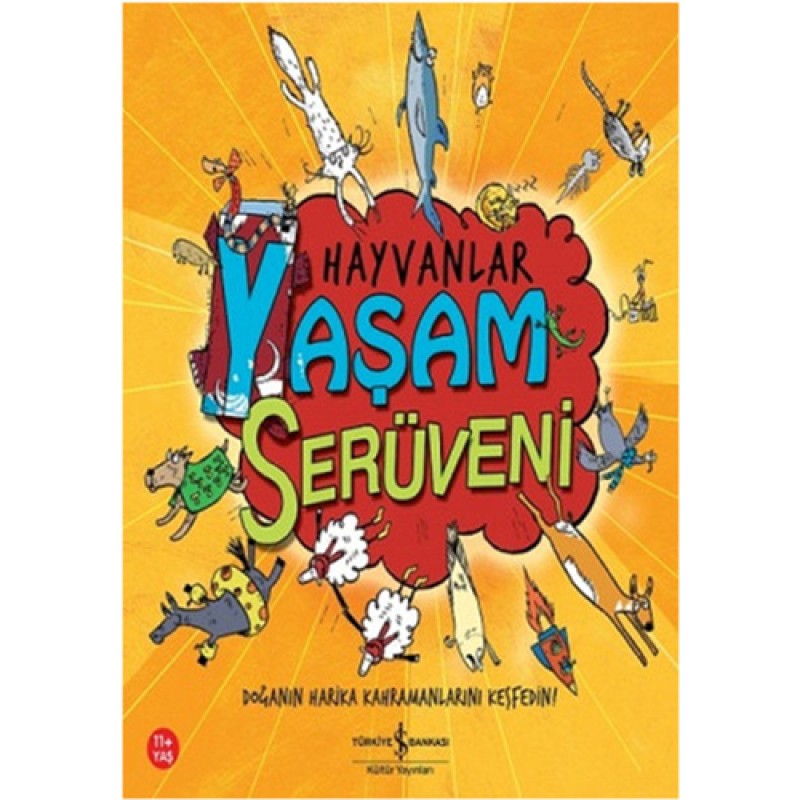 Hayvanlar Hayvanlar