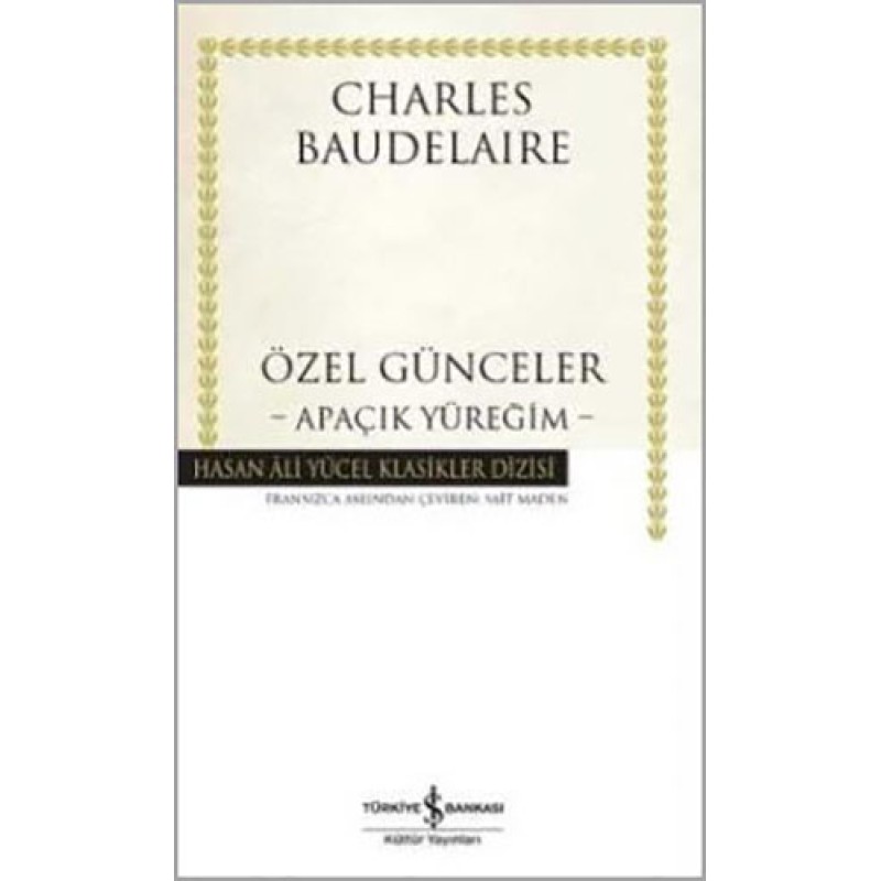 Özel Günceler - Apaçık Yüreğim