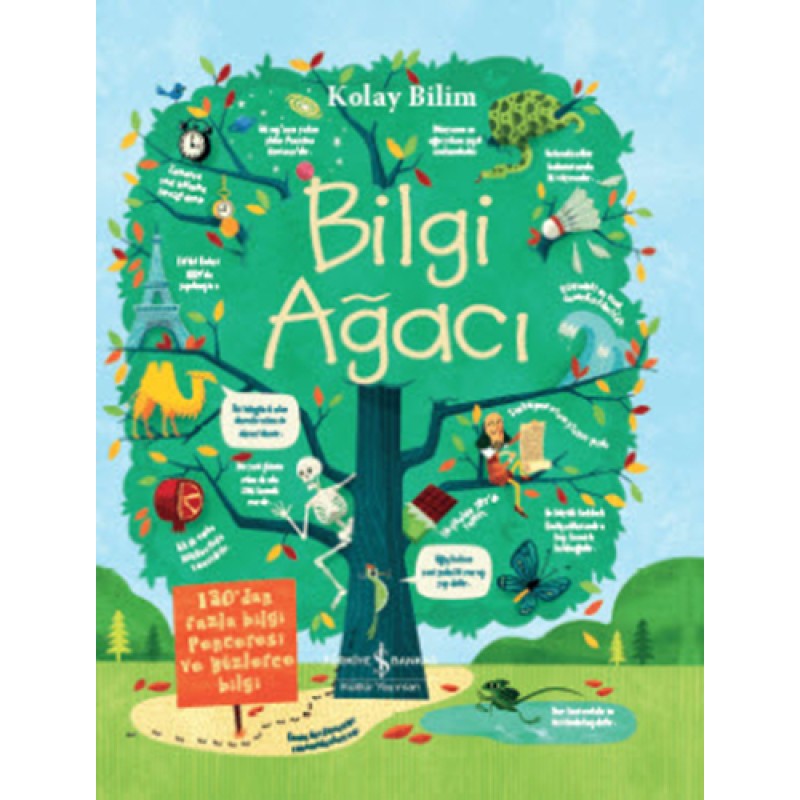 Bilgi Ağacı Bilgi Ağacı