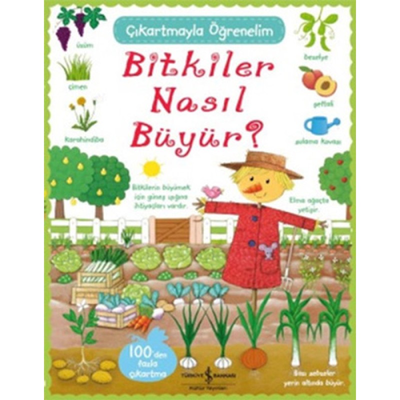 Bitkiler Nasıl Büyür Bitkiler Nasıl Büyür