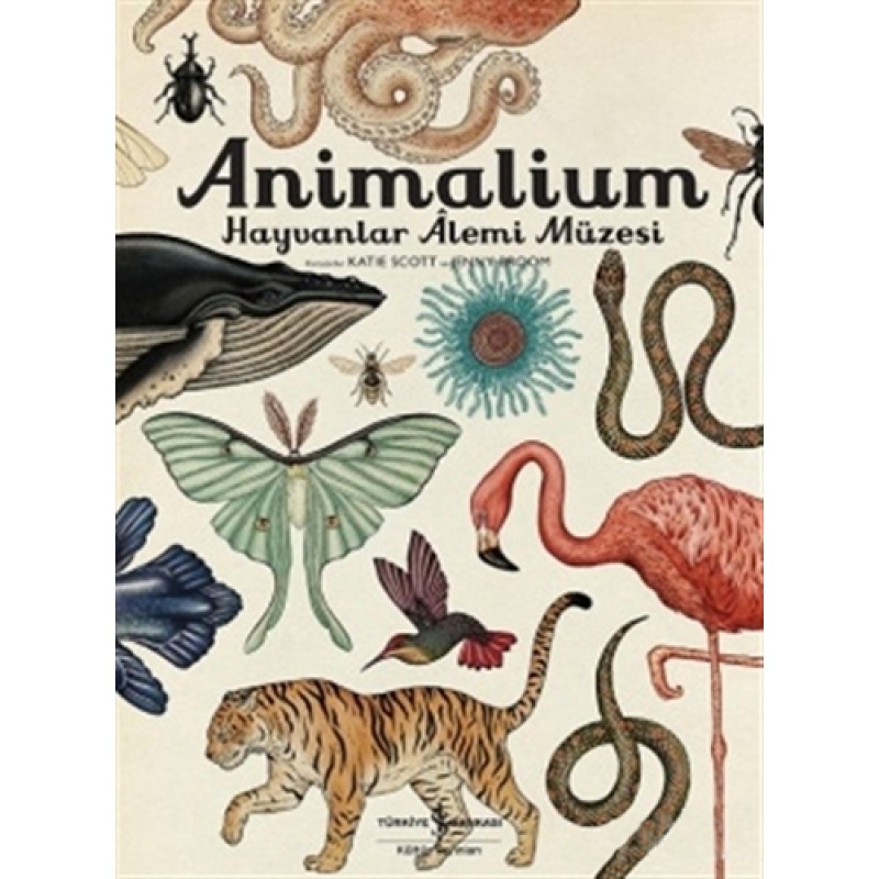 Animalium - Hayvanlar Alemi Müzesi Animalium - Hayvanlar Alemi Müzesi