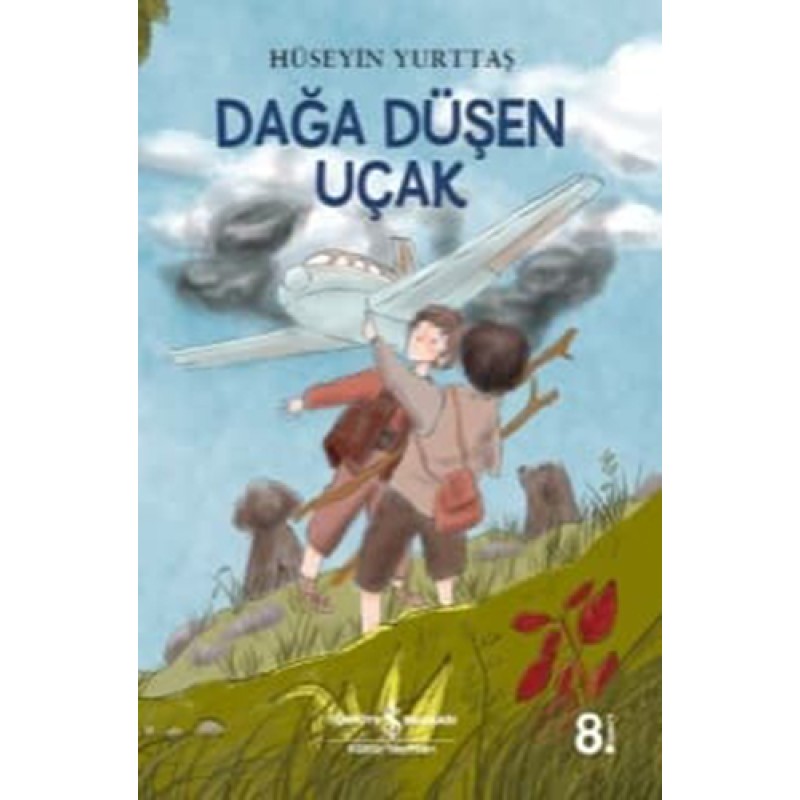 Dağa Düşen Uçak Dağa Düşen Uçak
