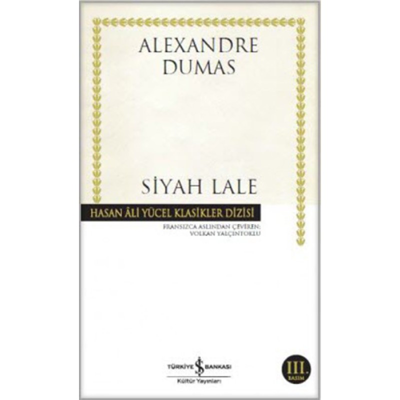 Siyah Lale Siyah Lale