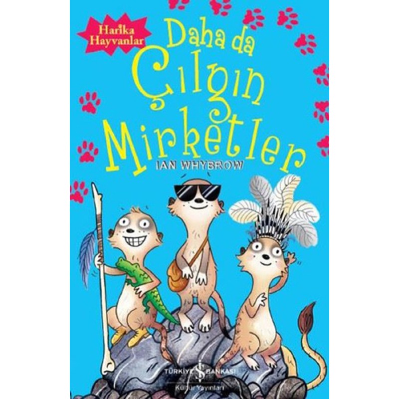 Daha da Çılgın Mirketler Daha da Çılgın Mirketler