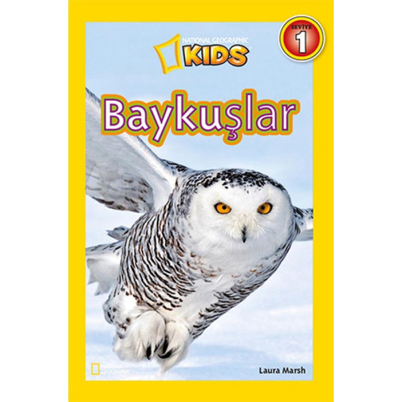 Baykuşlar Baykuşlar