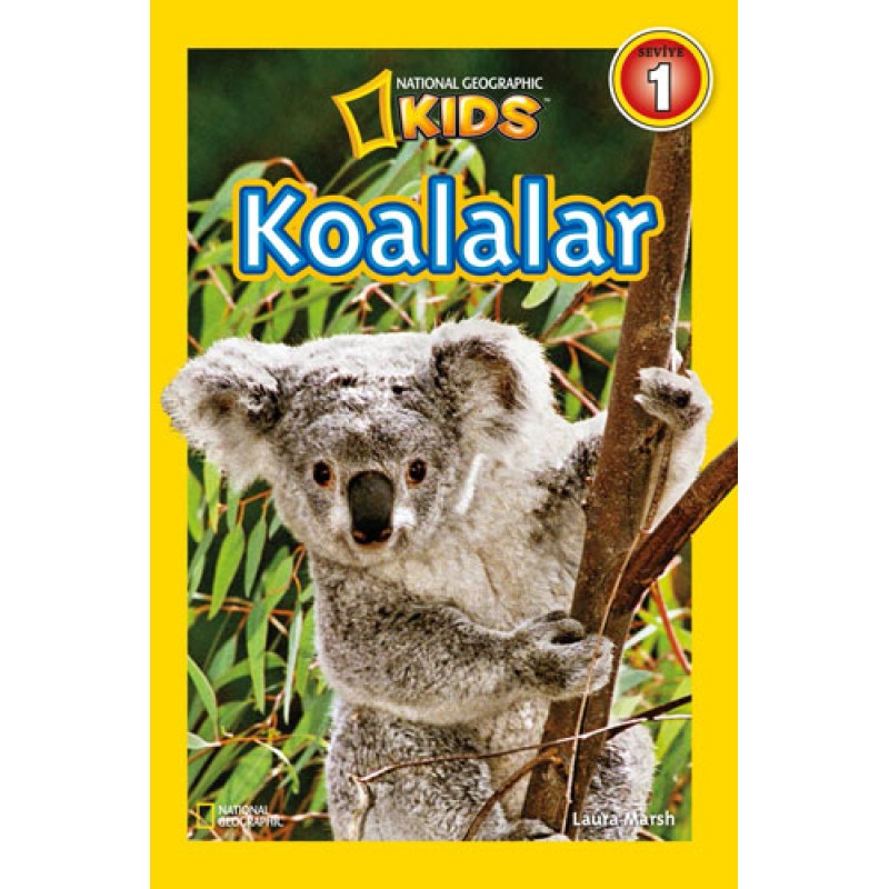 Koalalar - Seviye 1 Koalalar - Seviye 1