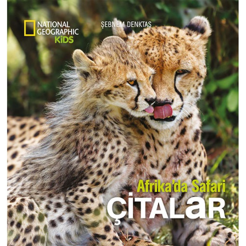 Afrika'da Safari: Çitalar - Ciltli