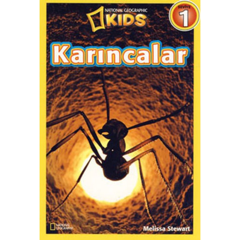 Karıncalar - Seviye 1 Karıncalar - Seviye 1