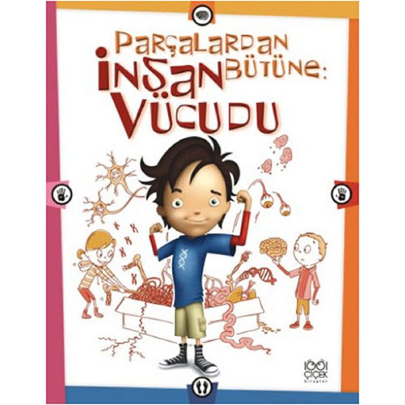 Parçalardan Bütüne: İnsan Vücudu Parçalardan Bütüne: İnsan Vücudu