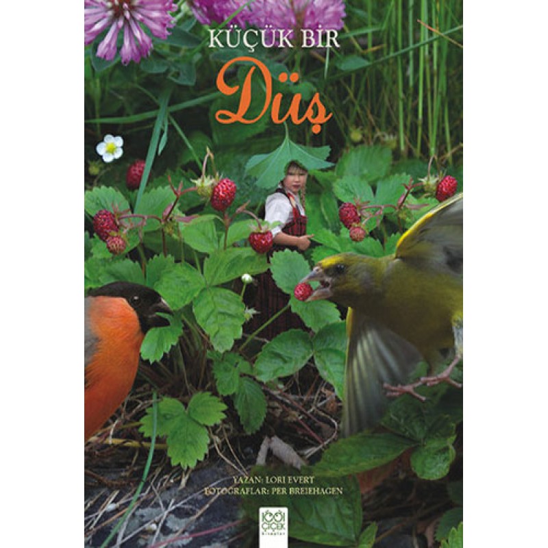 Küçük Bir Düş Küçük Bir Düş
