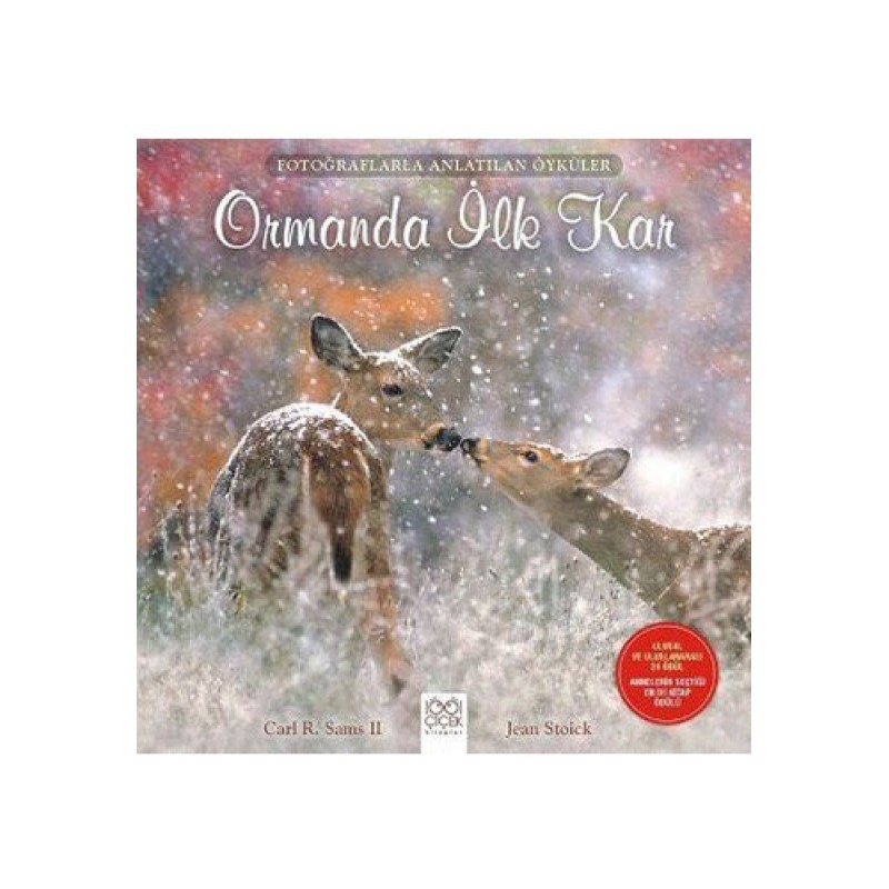 Ormanda İlk Kar Ormanda İlk Kar