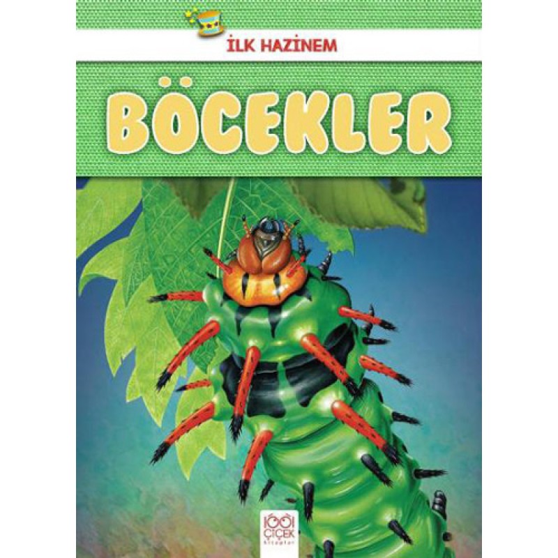 Böcekler - İlk Hazinem Böcekler - İlk Hazinem