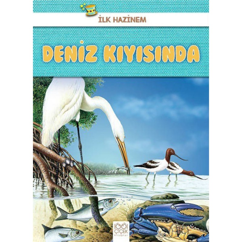 Deniz Kıyısında - İlk Hazinem Deniz Kıyısında - İlk Hazinem