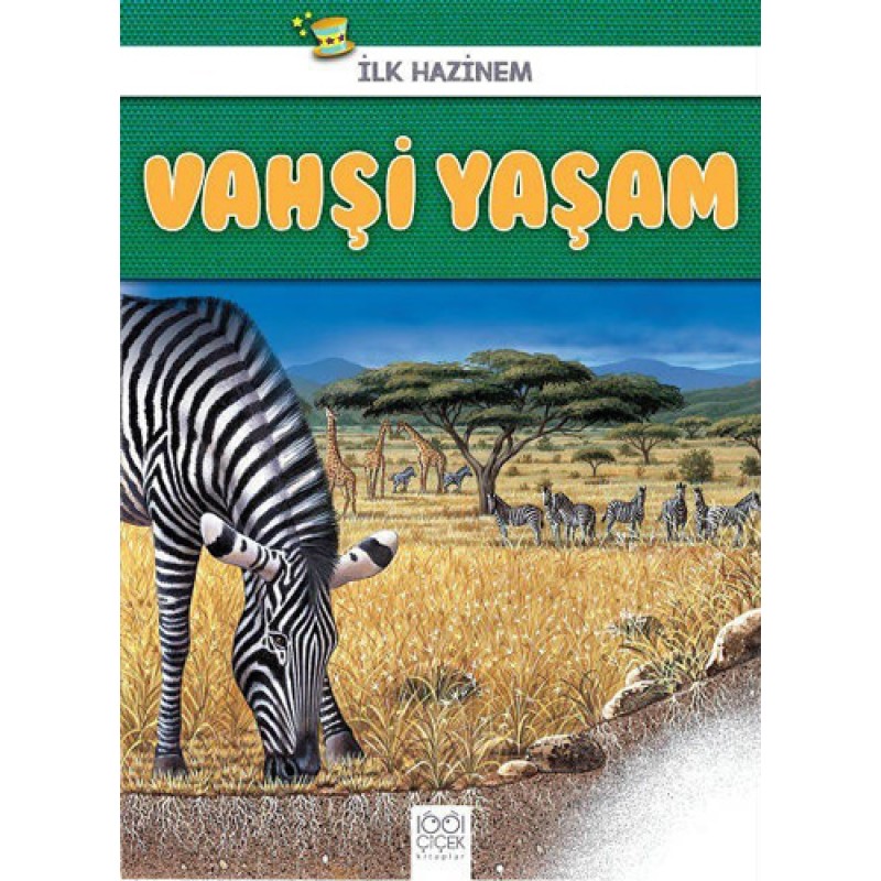 Vahşi Yaşam - İlk Hazinem Vahşi Yaşam - İlk Hazinem