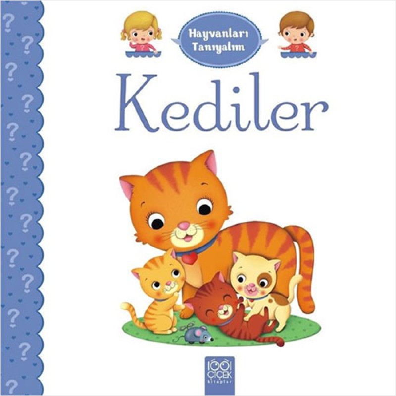 Kediler Kediler